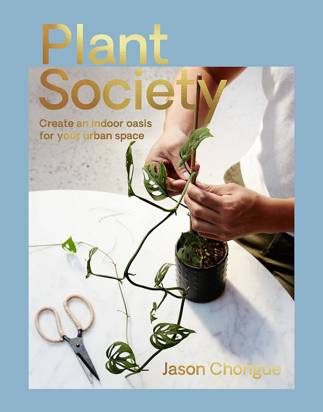 Plant Society Create an Indoor Oasis for your Urban Space