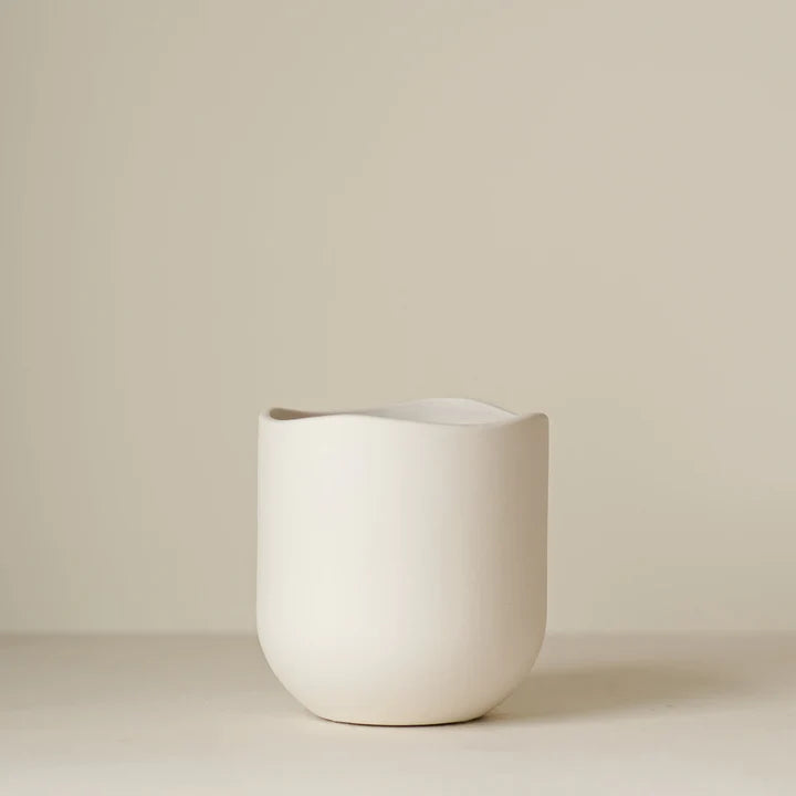 Wavy Edge Container