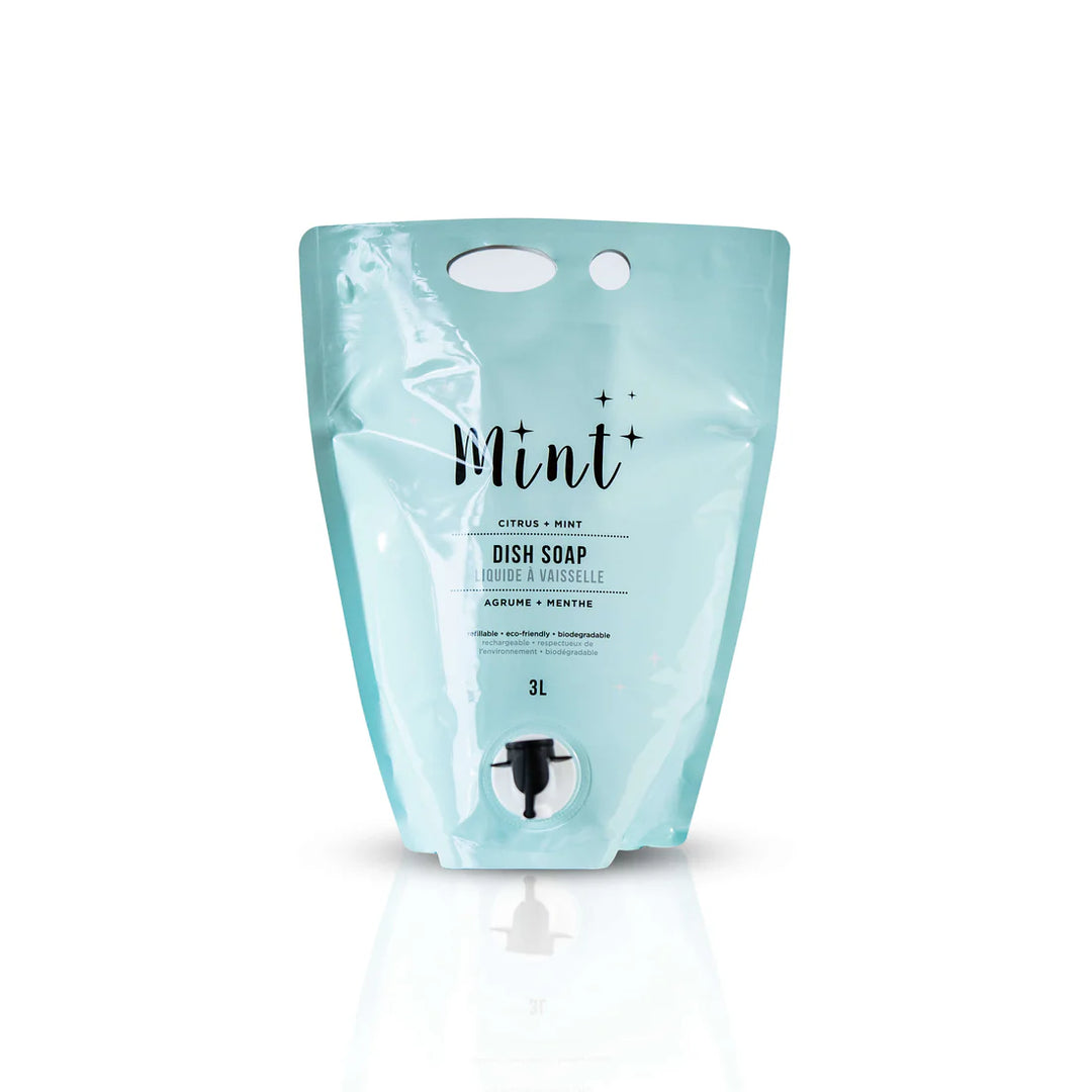 Mint Dish Soap Party Pouch 3L