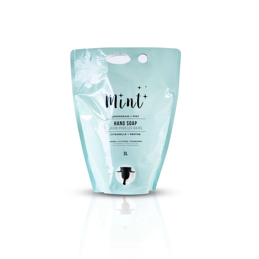 Mint Hand Soap Party Pouch 3L