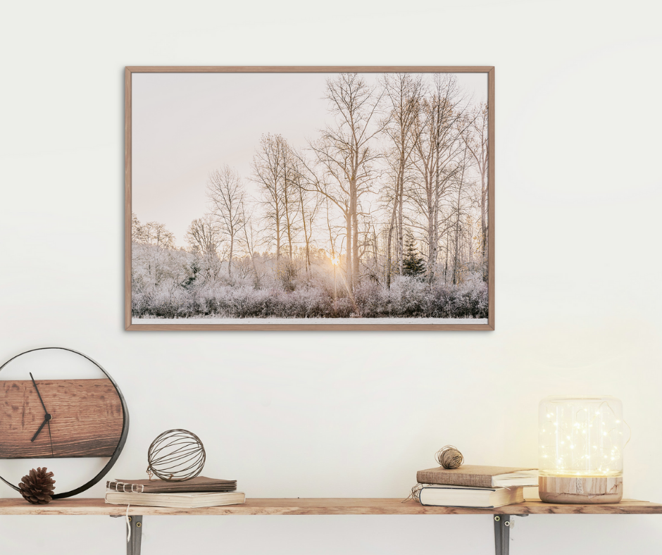Morning Winter
