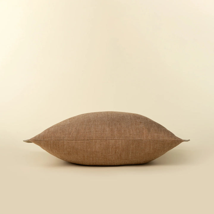 Vera Velvet Pillow | 20" x 20"
