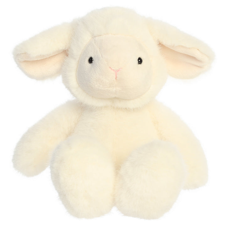 Candytuft Lamb
