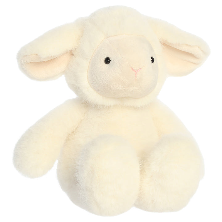 Candytuft Lamb