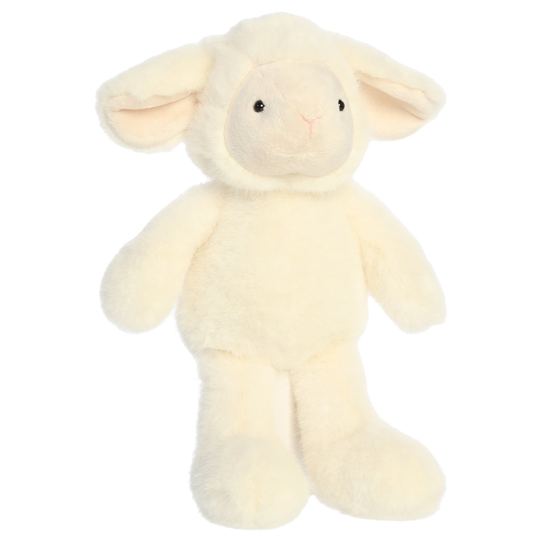 Candytuft Lamb