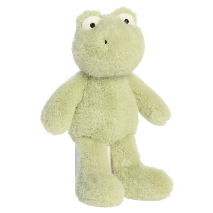 Forget Me Not Frog