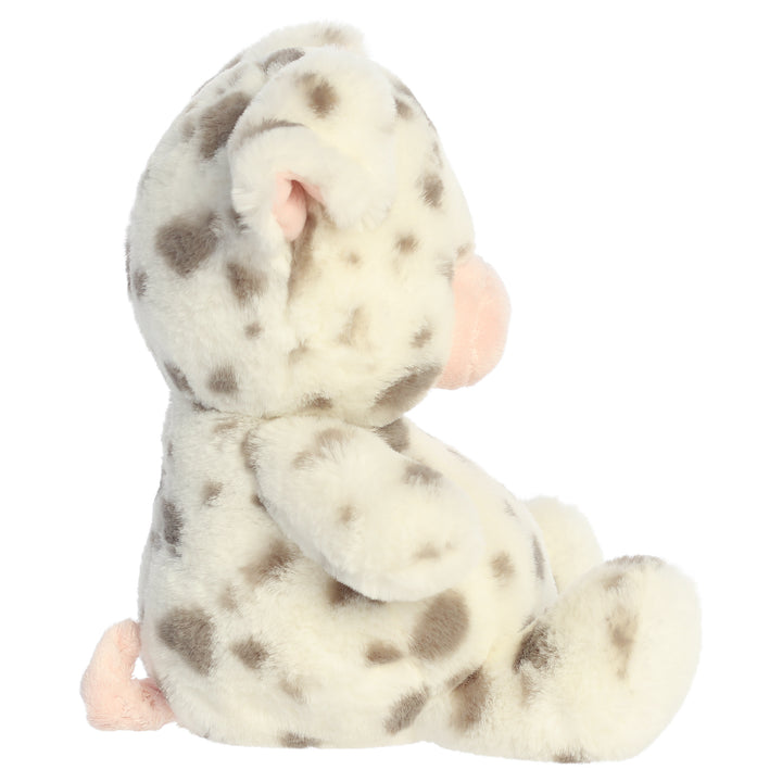 Dumplin Pig