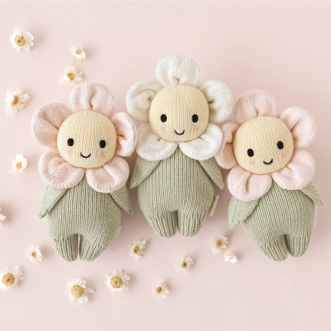 Baby daisy (blush pink)