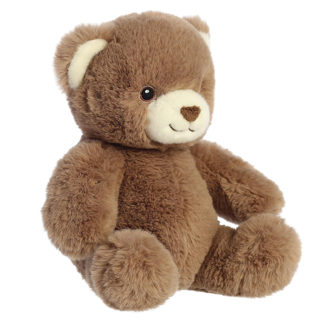 Eco Nation™ - 10" Benjy Bear