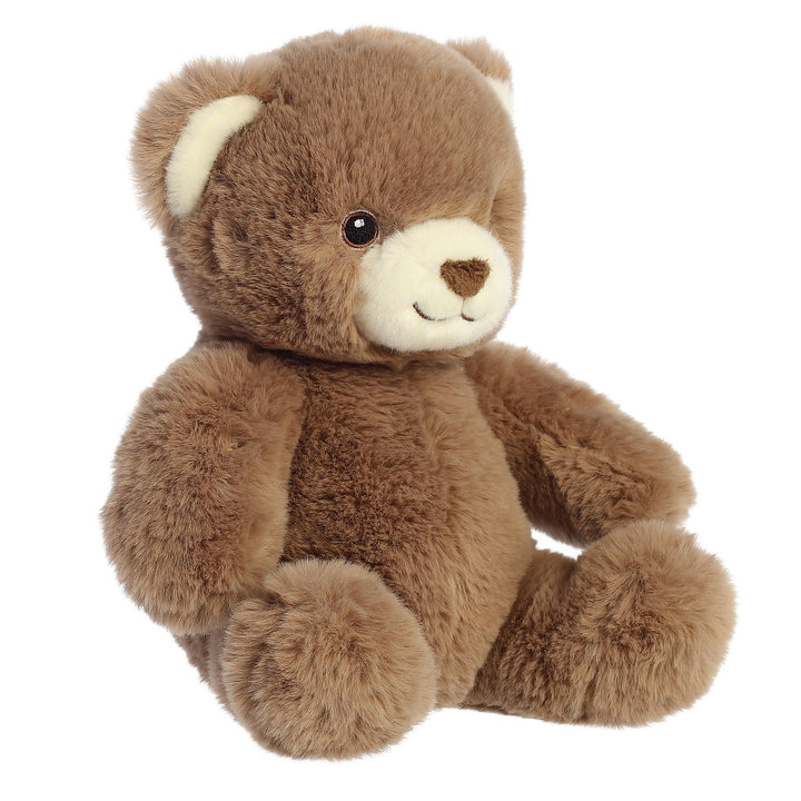 Eco Nation™ - 10" Benjy Bear