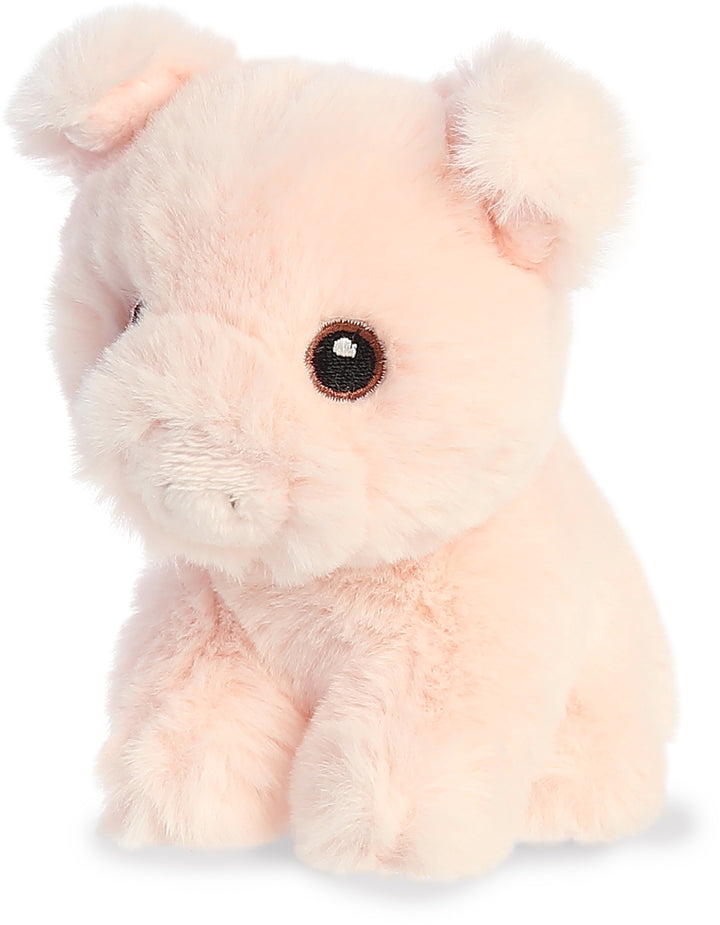 Eco Nation™ - MINI Pig