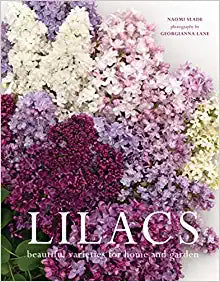 Lilacs: Beautiful Varieties for Home and Garden