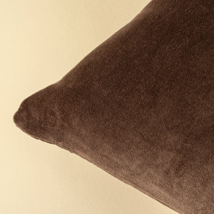 Vera Velvet Pillow | 20" x 20"