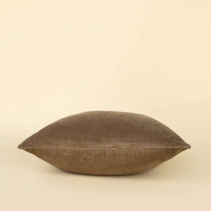 Vera Velvet Pillow | 20" x 20"