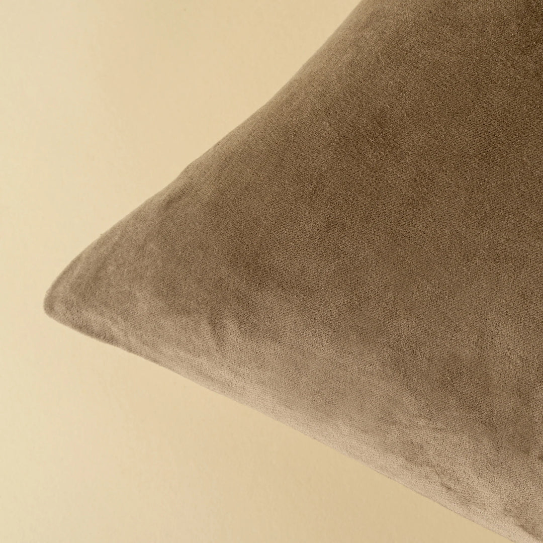 Vera Velvet Pillow | 20" x 20"