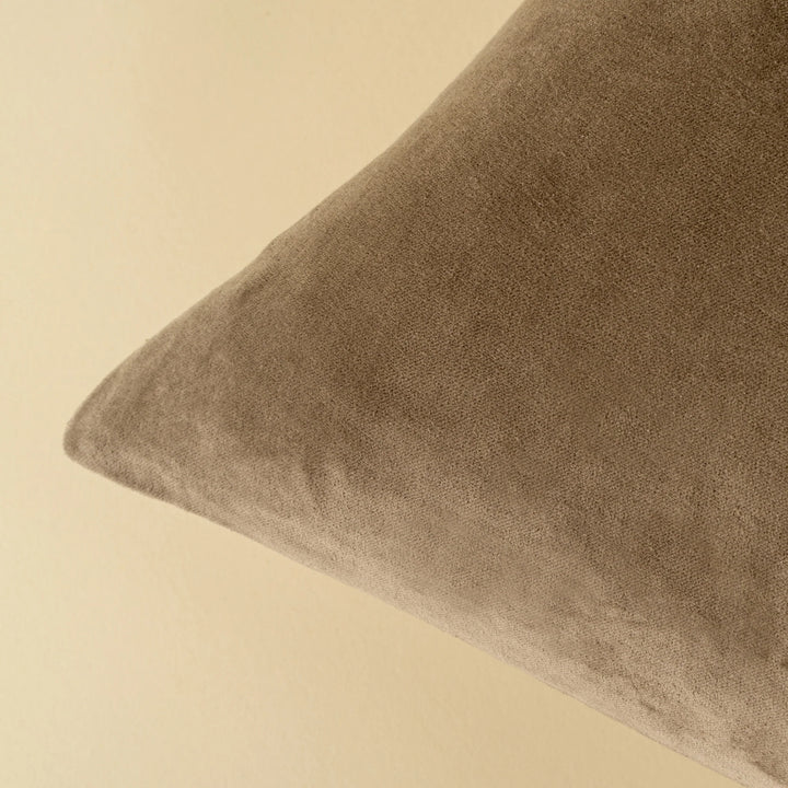 Vera Velvet Pillow | 20" x 20"