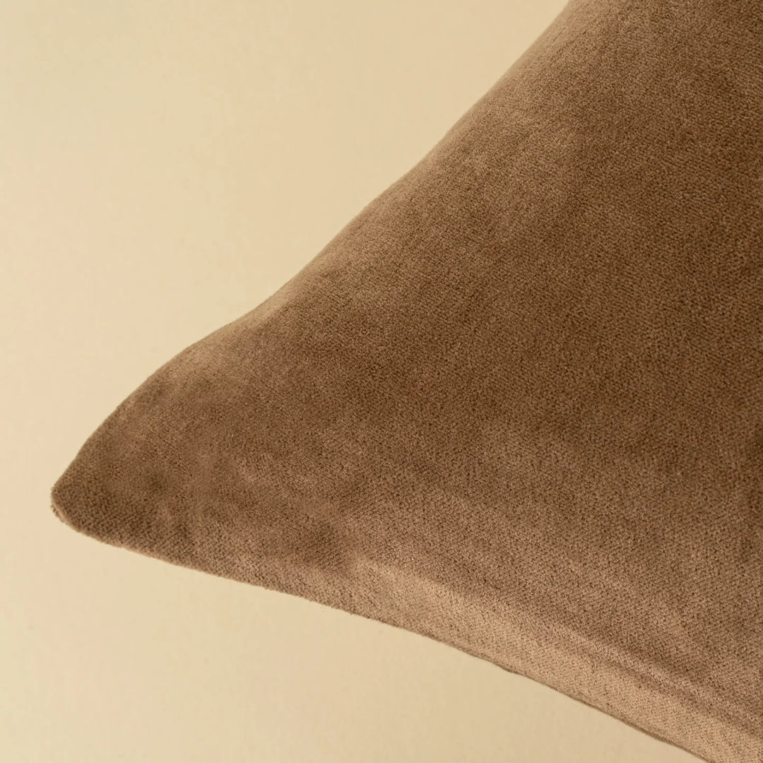 Vera Velvet Pillow | 20" x 20"