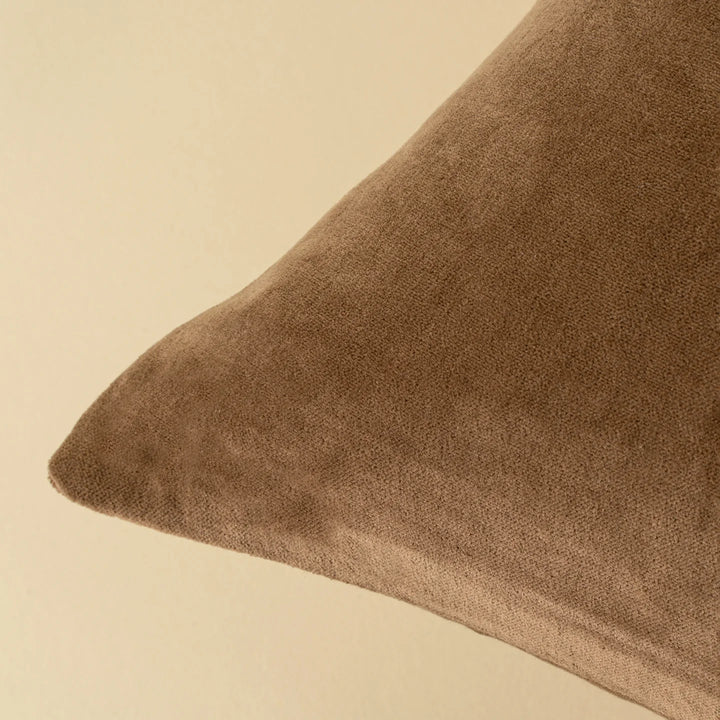Vera Velvet Pillow | 20" x 20"