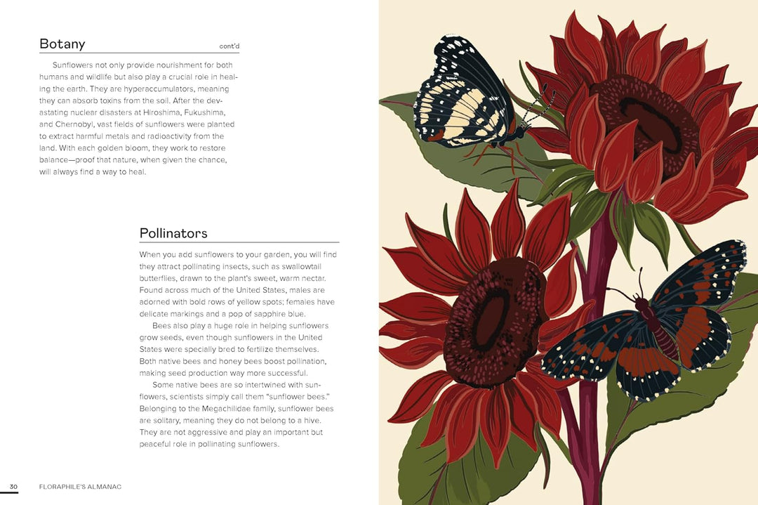 Floraphile's Almanac: An Illustrated Miscellany