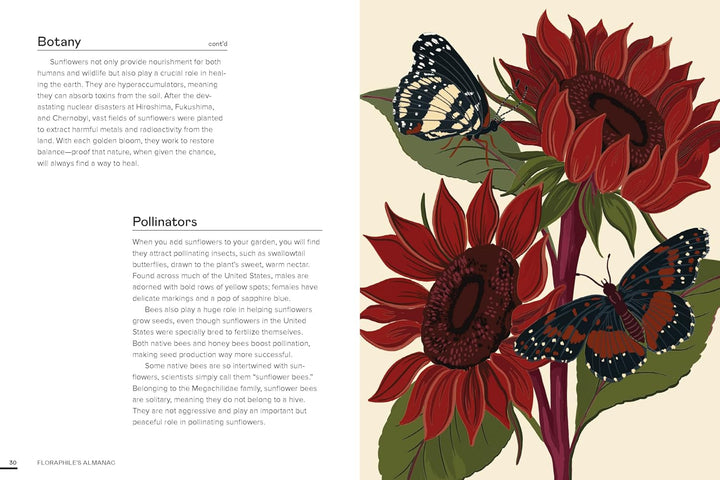 Floraphile's Almanac: An Illustrated Miscellany