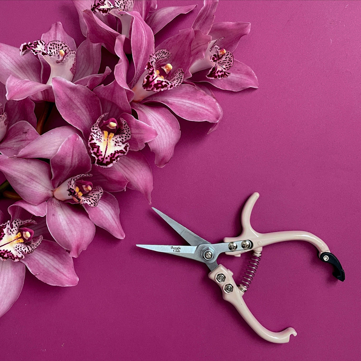 Pruning Shears | Vanilla