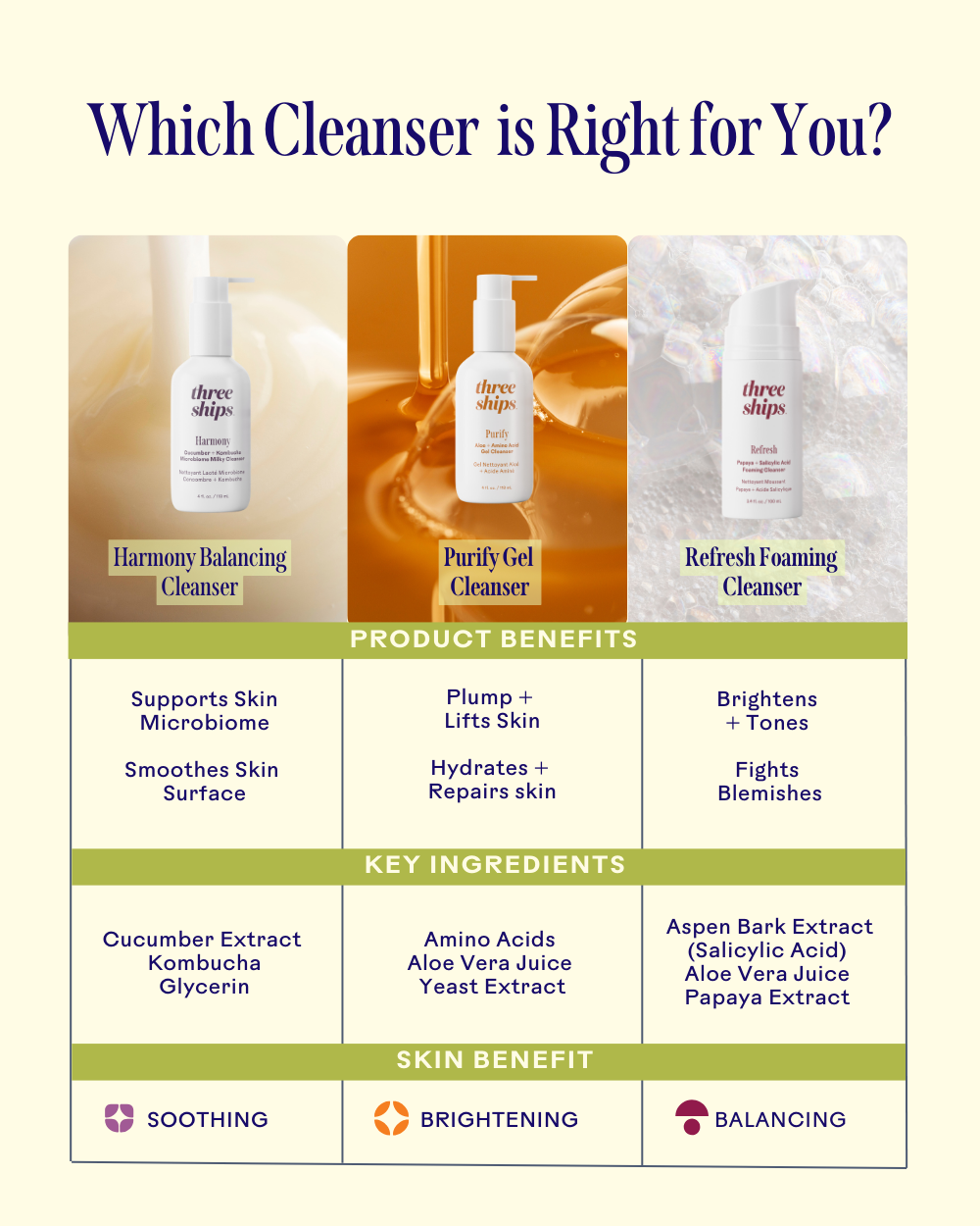 Refresh Papaya + Salicylic Acid Foaming Cleanser