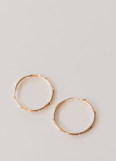 Twisted Hoop Earrings