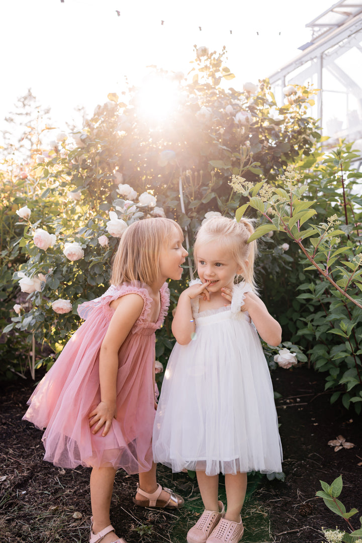 Butterfly Dream Dress - Mauve Pink