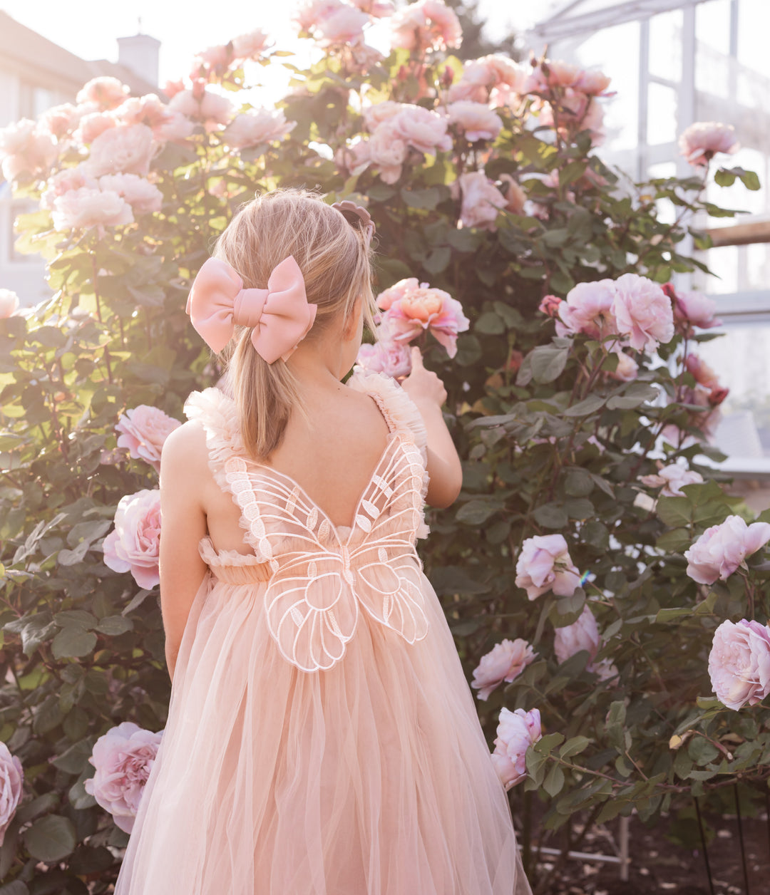 Butterfly Dream Dress - Champagne