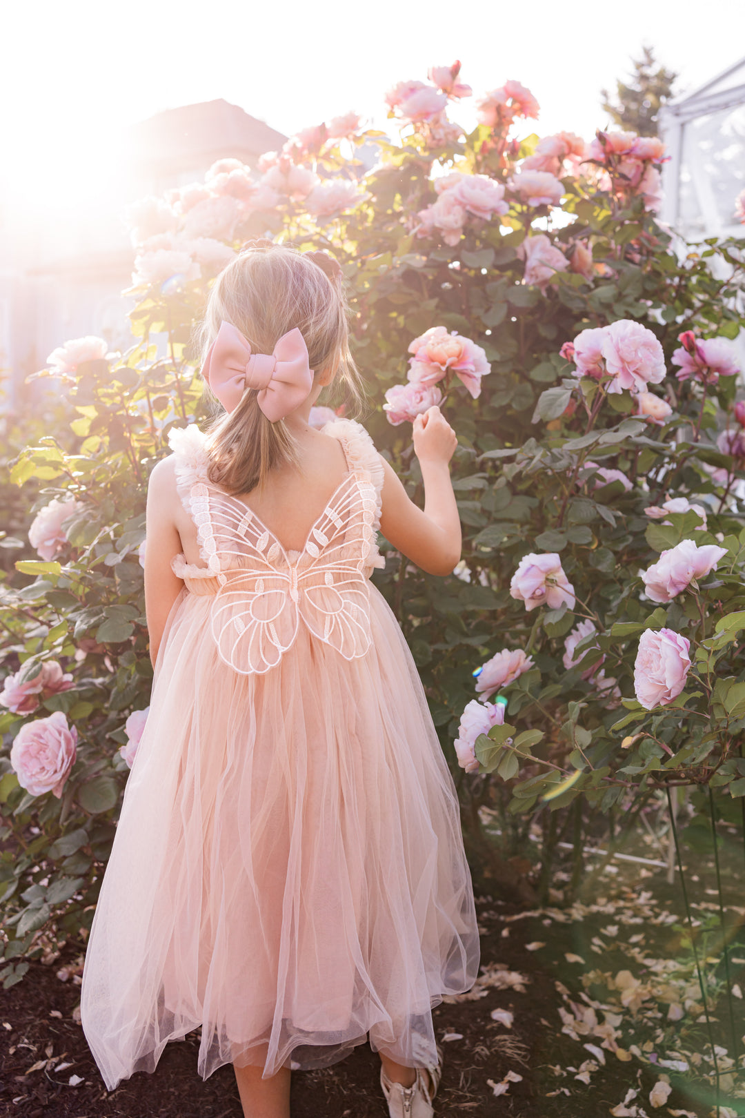 Butterfly Dream Dress - Champagne