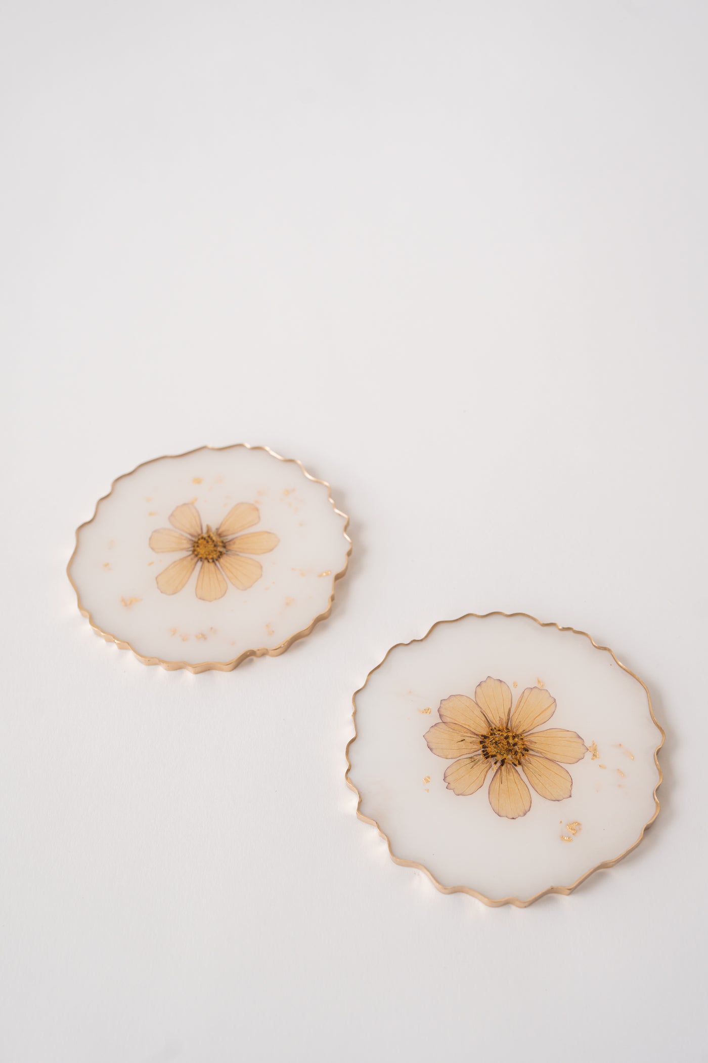 Pressed Flowers Coasters - Set of 2