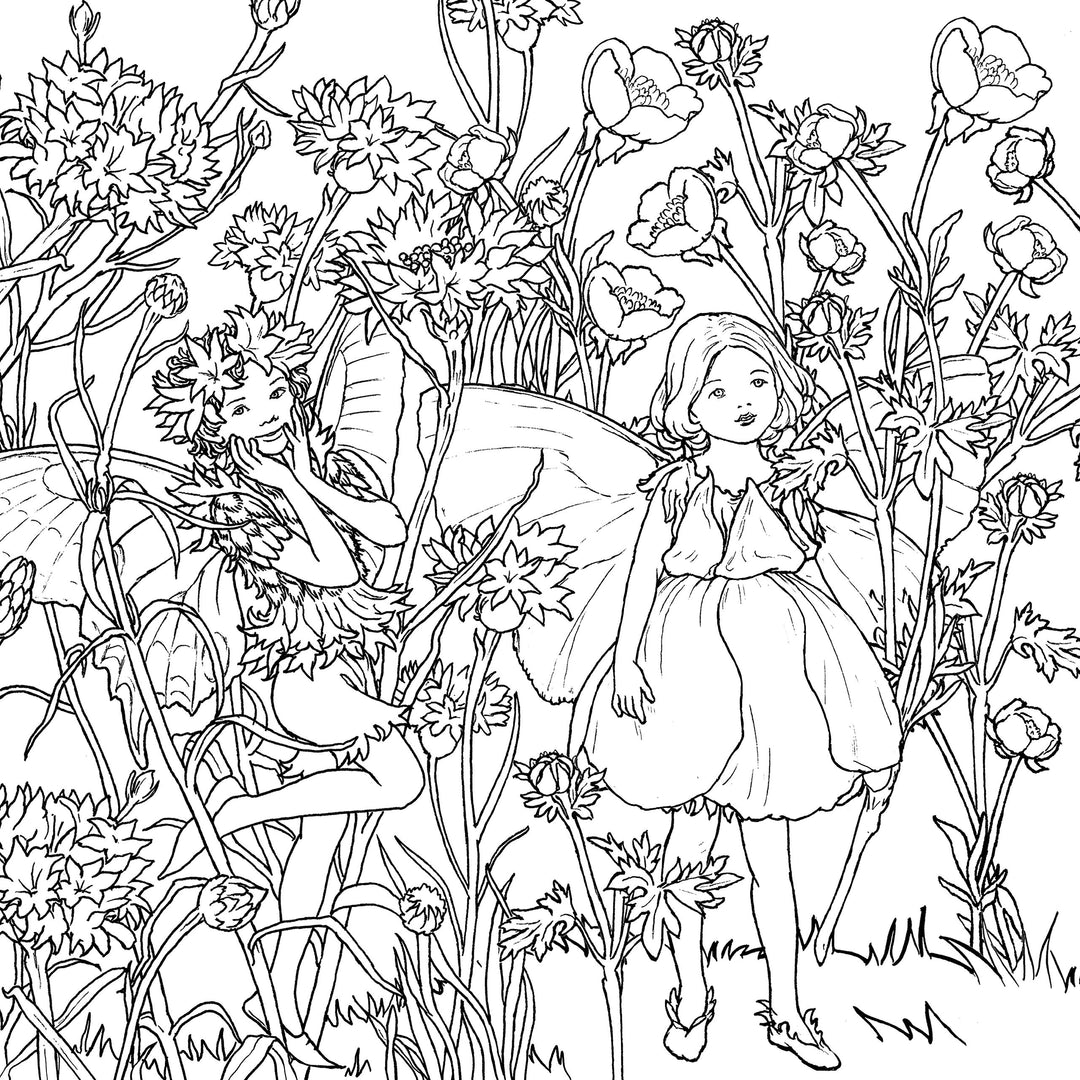 The Flower Fairies Coloring Book