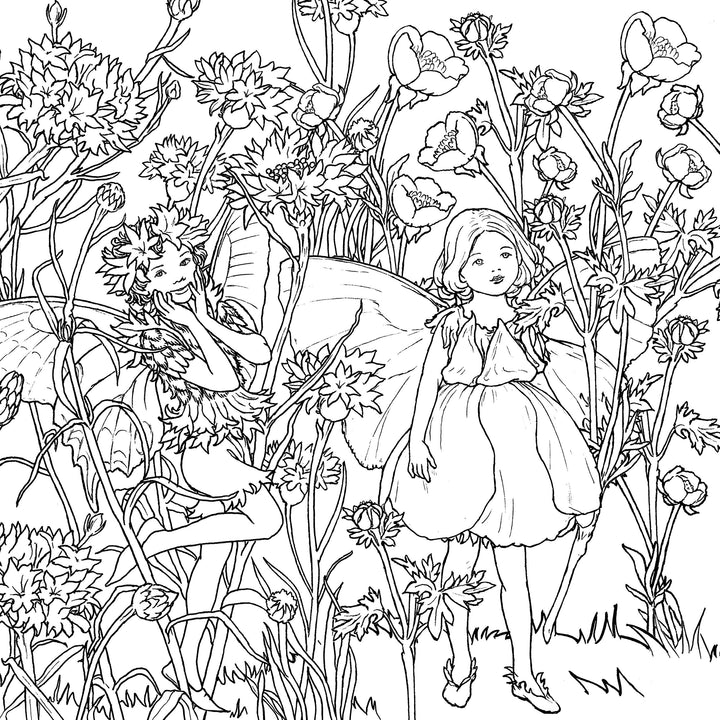 The Flower Fairies Coloring Book