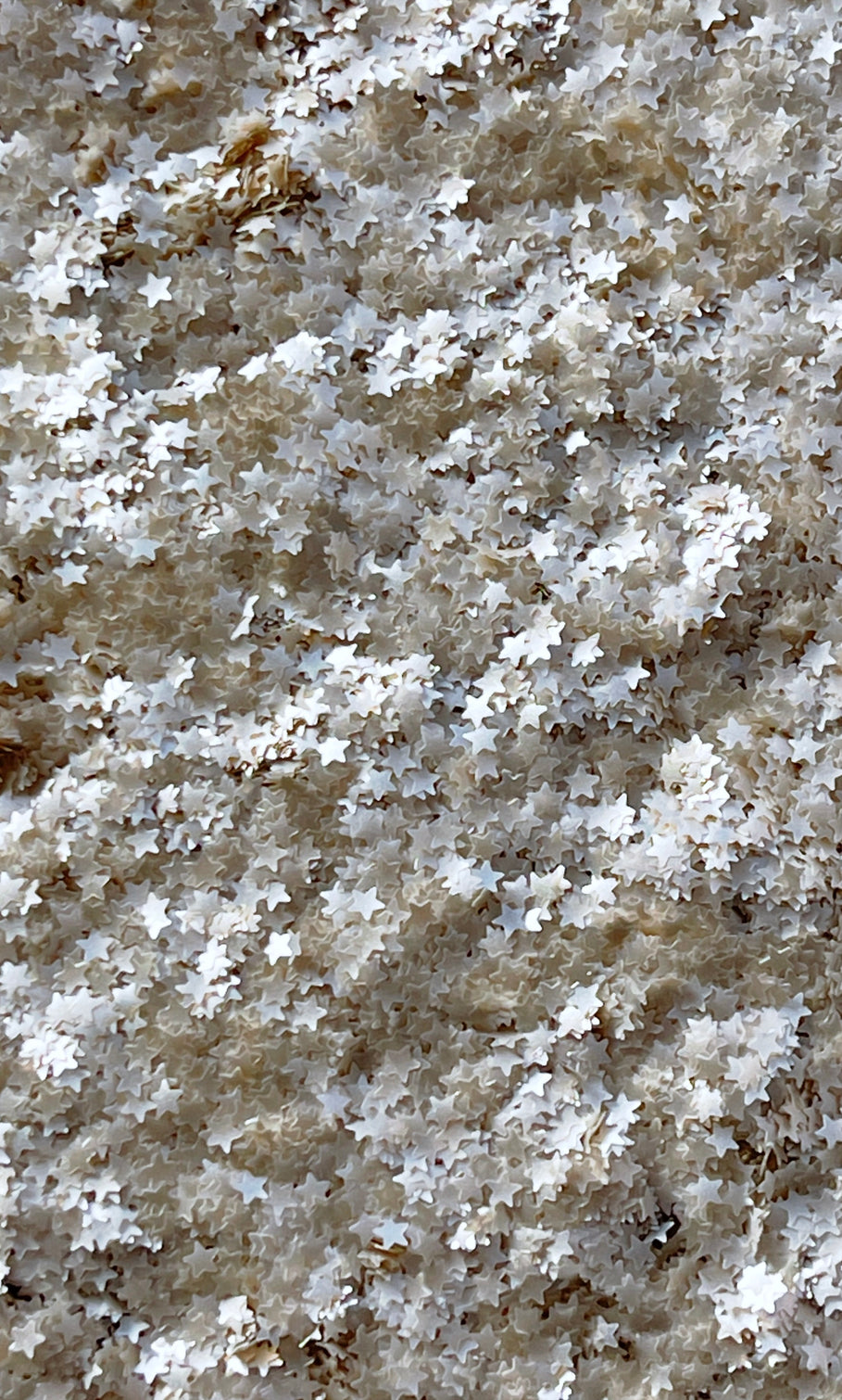 Silver Metallic Stars | Edible Glitter