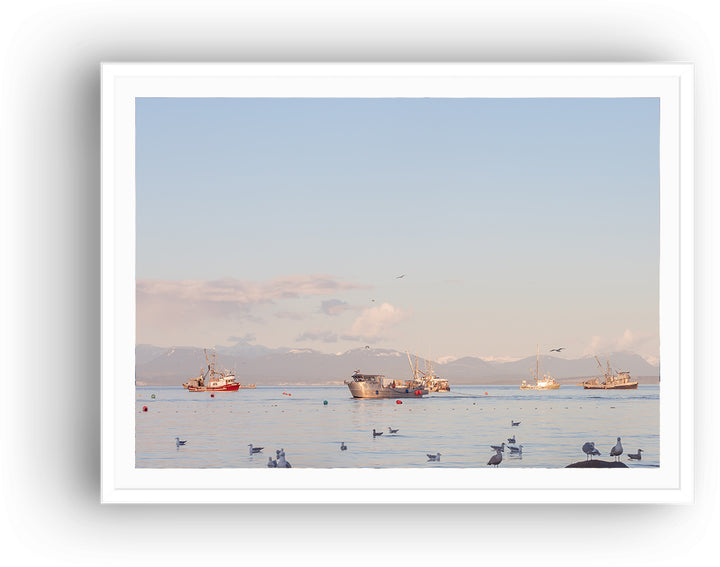 Herring Boats