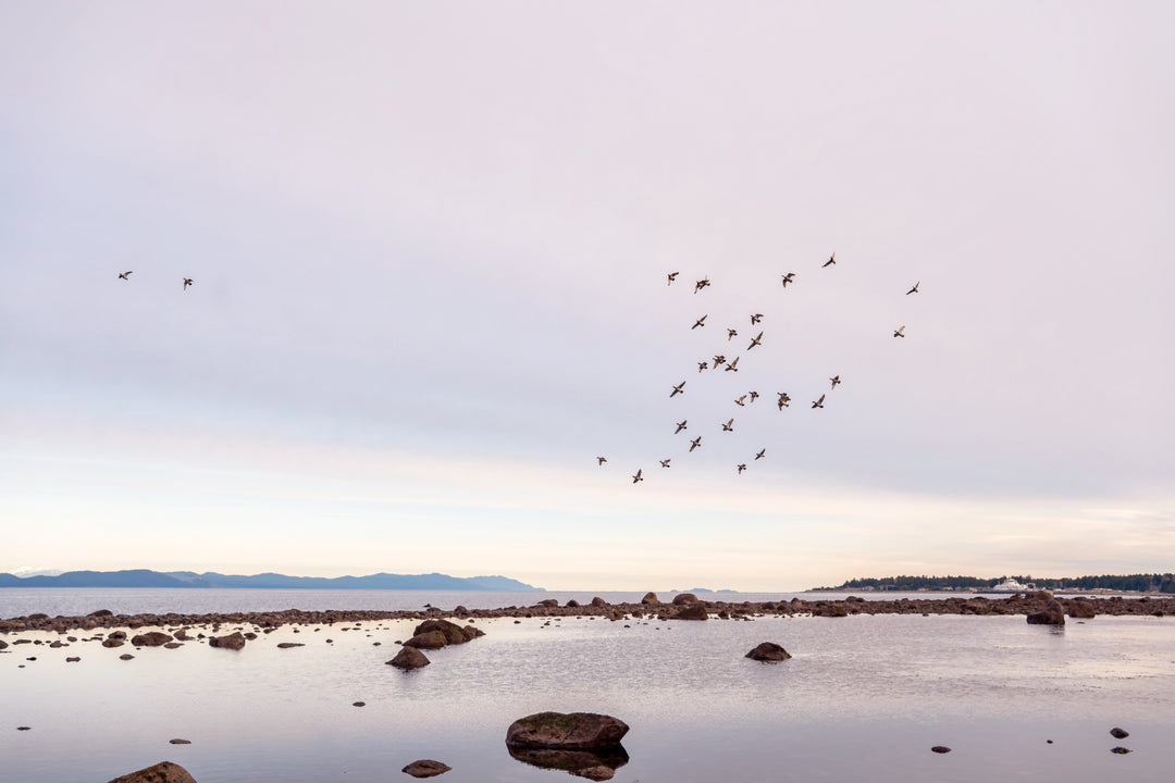 Take Flight Digital