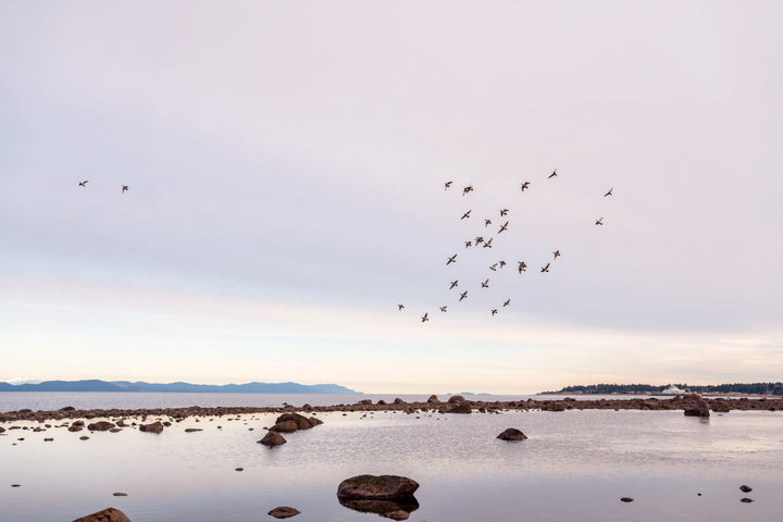 Take Flight Digital