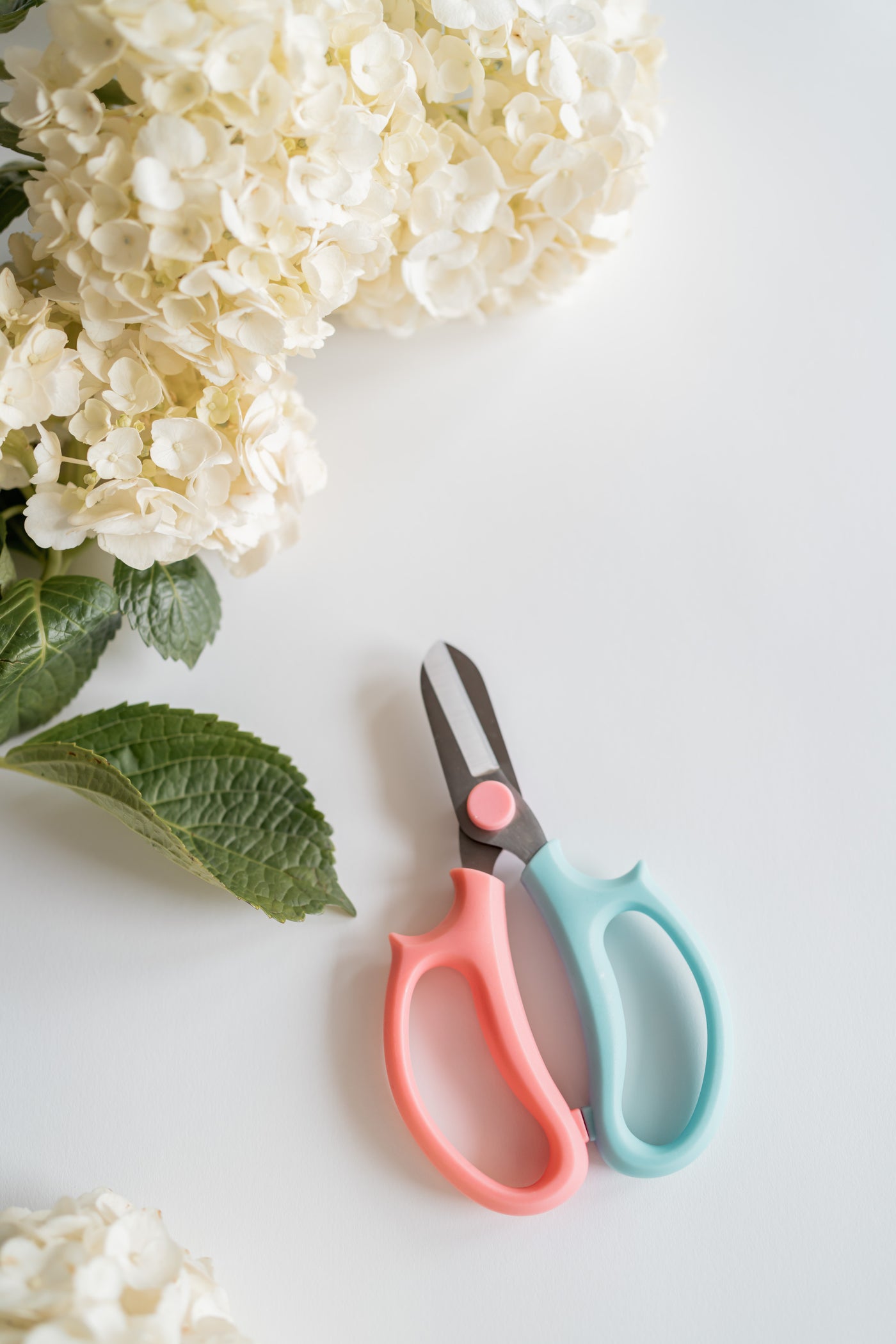 Flower Clippers